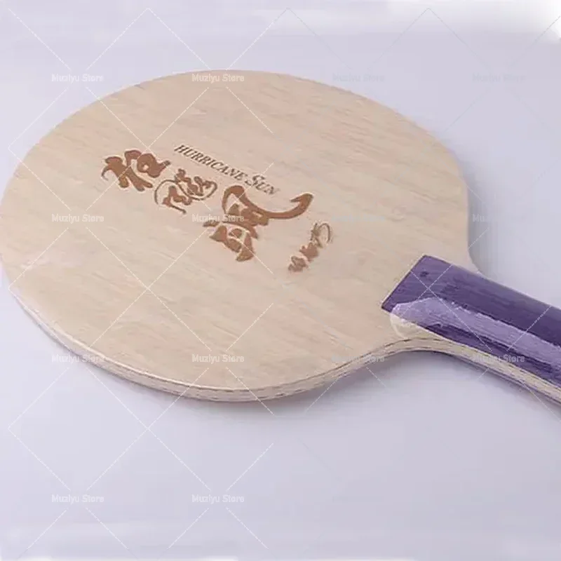 Table Tennis Champion - Original DHS Hurricane Sa Table Tennis
