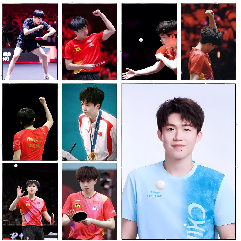 Table Tennis Champion Wang Chu - Table Tennis Champion recension och pris
